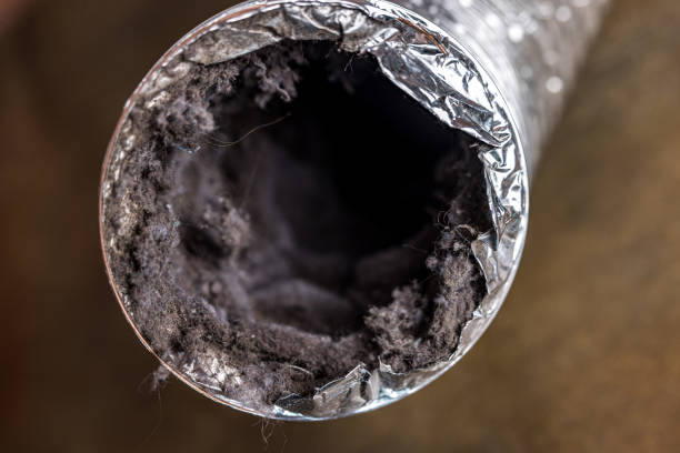 Best Residential Air Duct Cleaning  in Aviston, IL